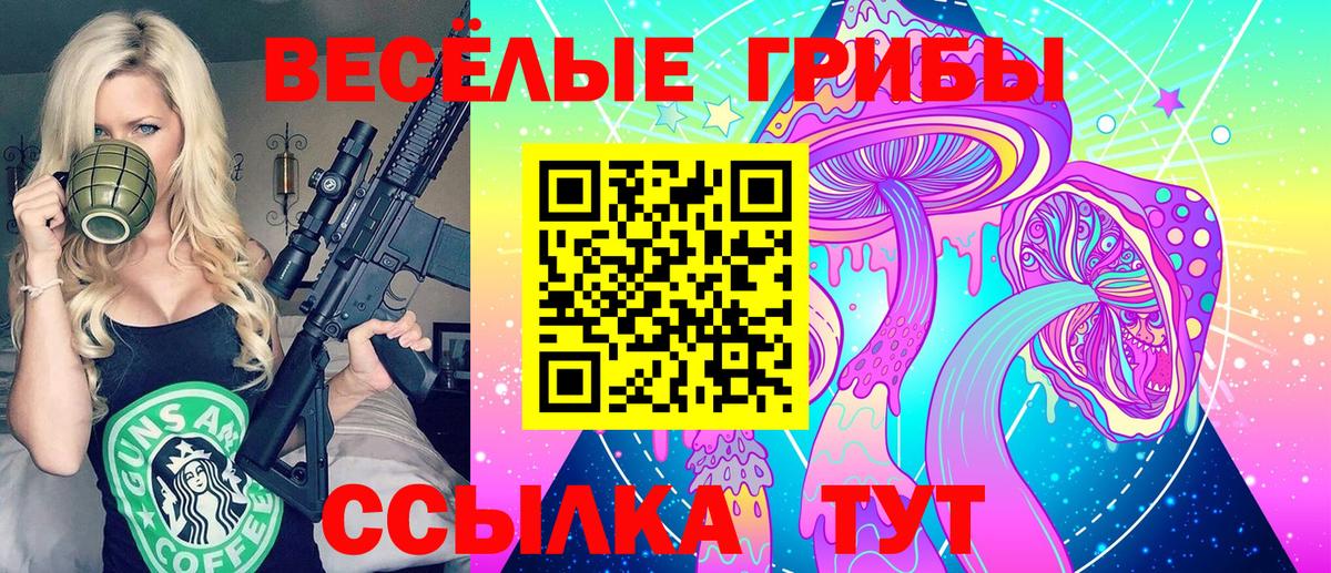 Псилоцибиновые грибы мицелий  Карачаевск 