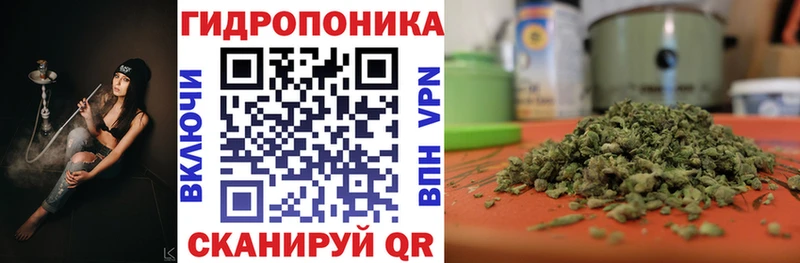 сколько стоит Карачаевск Бошки Шишки сатива