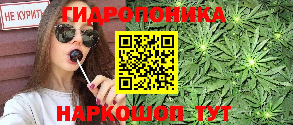 Бошки Шишки семена Карачаевск